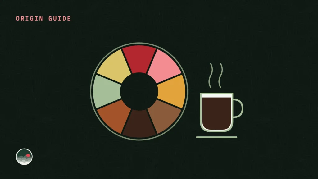 Illustration of a colorful coffee flavor wheel beside a cup of coffee