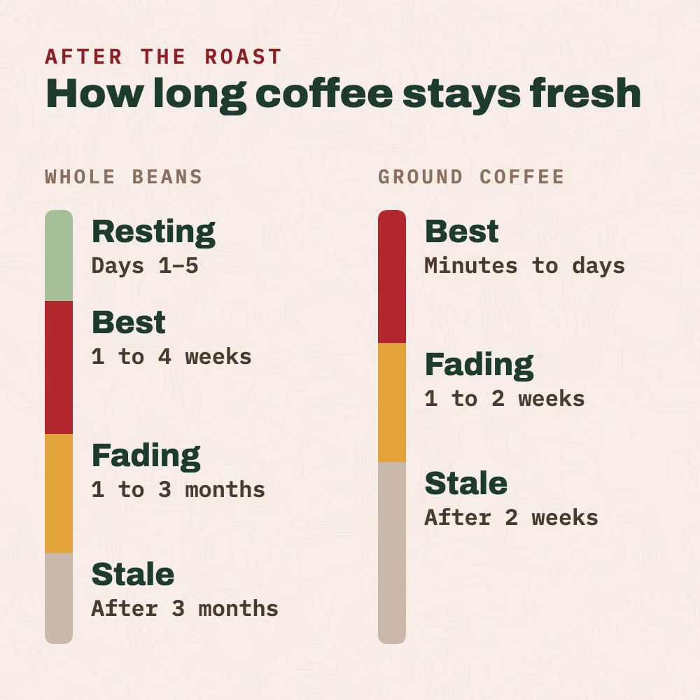 How long coffee stays fresh. Whole beans: resting for days 1 to 5 after roasting, best from 1 to 4 weeks, fading from 1 to 3 months, stale after 3 months. Ground coffee: best within minutes to days, fading over 1 to 2 weeks, stale after 2 weeks.