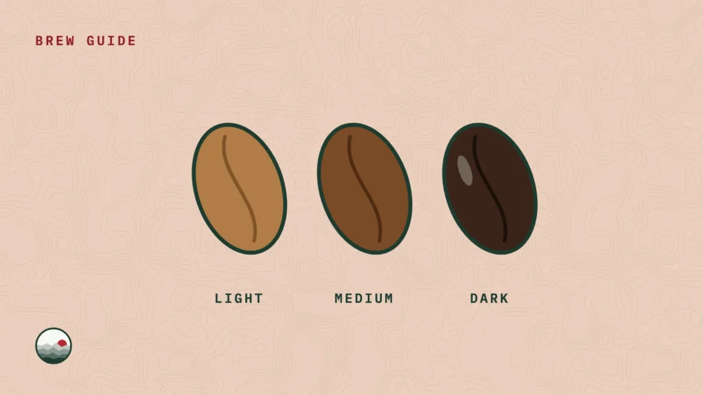 Three coffee beans, light, medium and dark roast, side by side