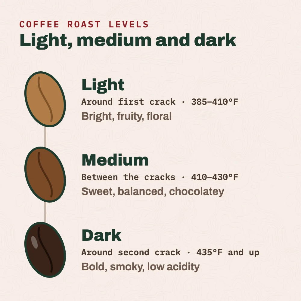 Coffee roast levels. Light roast: ends around first crack, roughly 385 to 410°F, bright, fruity and floral. Medium roast: between first and second crack, roughly 410 to 430°F, sweet, balanced, caramel and chocolate. Dark roast: around or past second crack, roughly 435°F and up, bold, smoky and low in acidity.