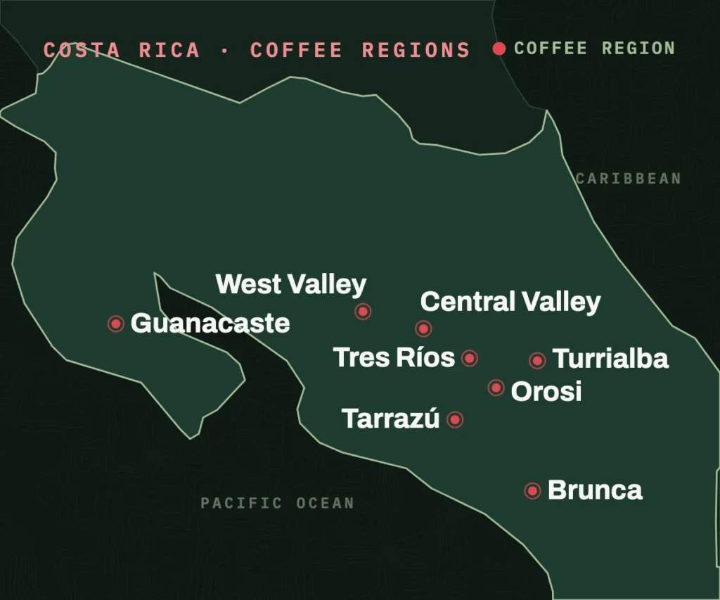 Map of Costa Rica's eight coffee regions: Guanacaste in the northwest, West Valley, Central Valley, Tres Ríos, Orosi, Turrialba and Tarrazú around San José, and Brunca in the south.