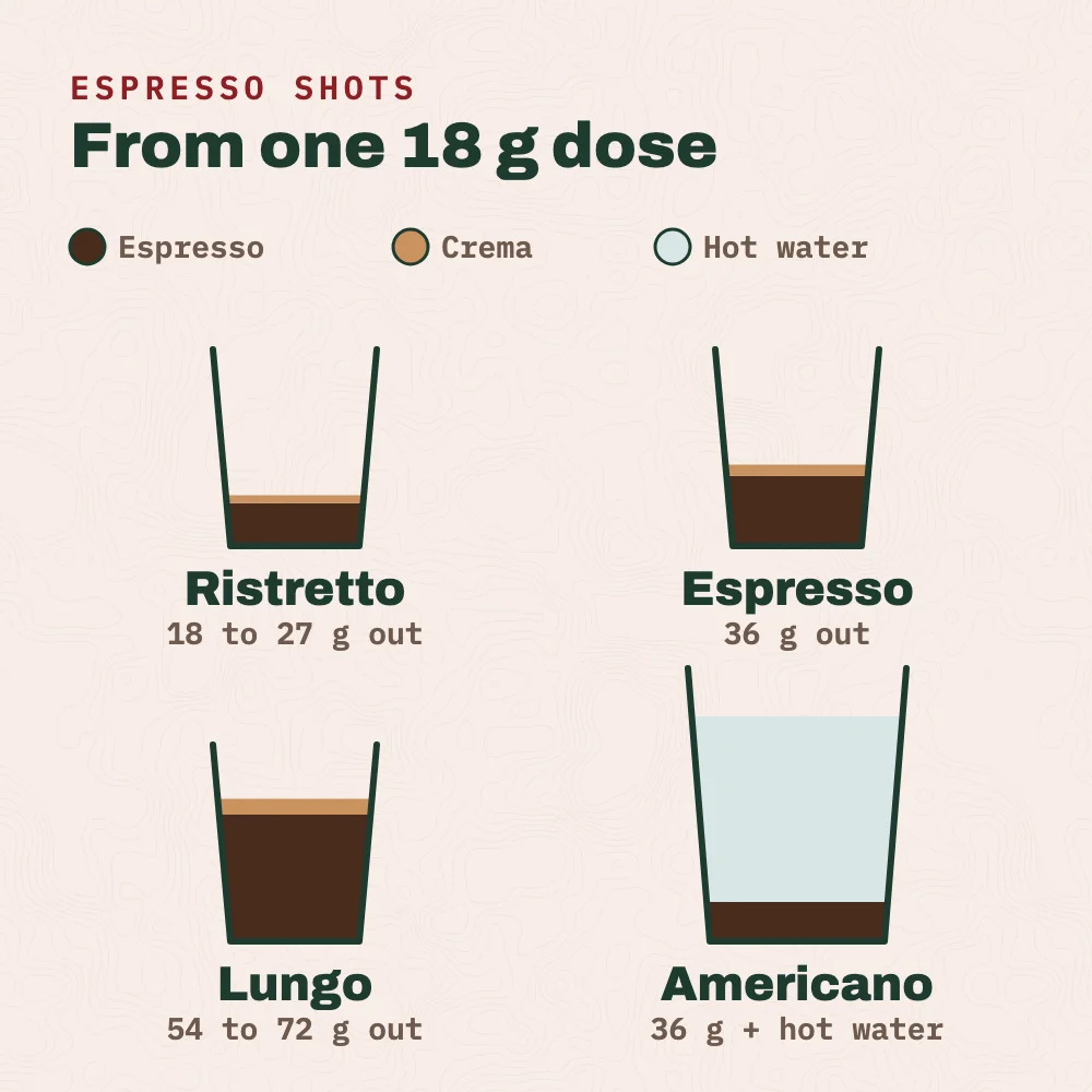 Espresso shots from one 18 g dose of coffee: a ristretto gives about 18 to 27 g of espresso, a standard espresso about 36 g, a lungo about 54 to 72 g, and an americano is a 36 g shot topped up with hot water.
