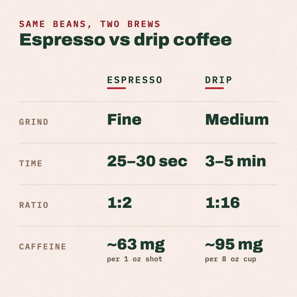 Same beans, two brews. Espresso: fine grind, 25 to 30 seconds, a 1:2 ratio and about 63 mg of caffeine per shot. Drip: medium grind, 3 to 5 minutes, a 1:16 ratio and about 95 mg of caffeine per cup.