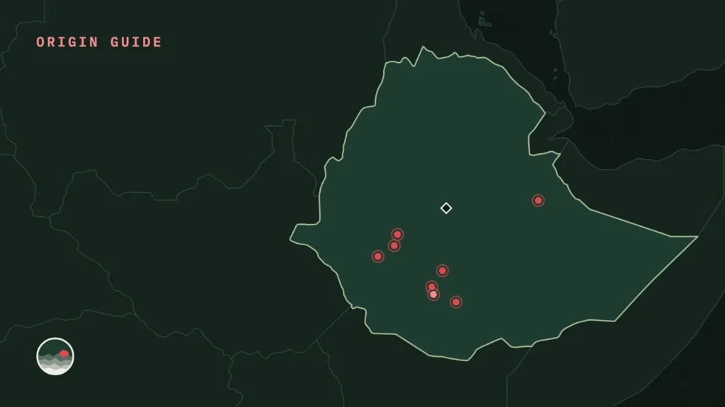 Map of Ethiopia with its main coffee regions marked