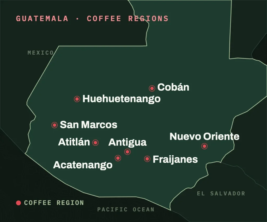 Map of Guatemala with its eight coffee regions marked: Huehuetenango, San Marcos, Atitlán, Acatenango, Antigua, Fraijanes, Cobán and Nuevo Oriente