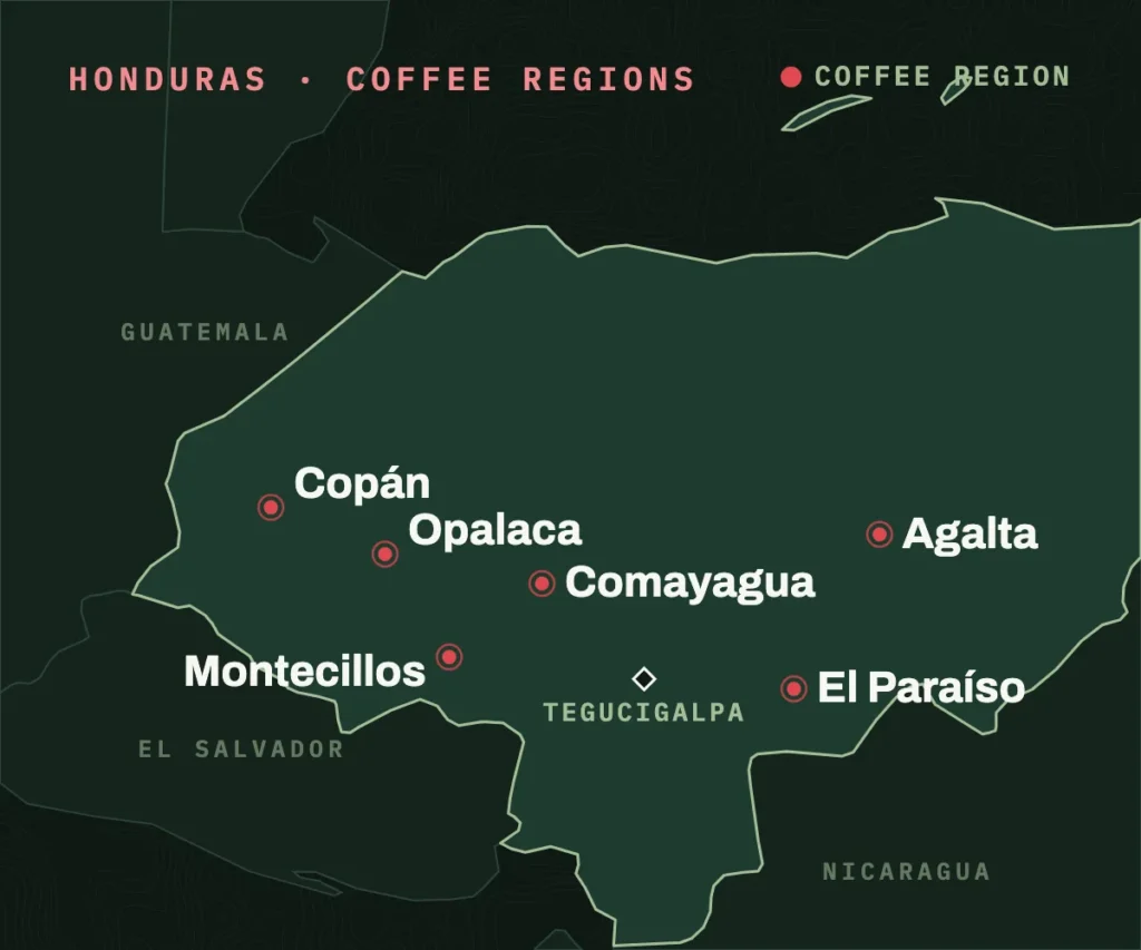 Map of Honduras's six coffee regions: Copán in the west, Opalaca, Montecillos and Comayagua in the center-west, Agalta in the northeast and El Paraíso in the east, with Tegucigalpa in between.