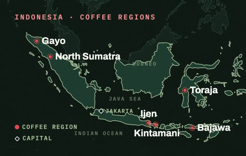 Map of western Indonesia with the coffee regions of Gayo and North Sumatra on Sumatra, Ijen on Java, Kintamani on Bali, Toraja on Sulawesi and Bajawa on Flores marked