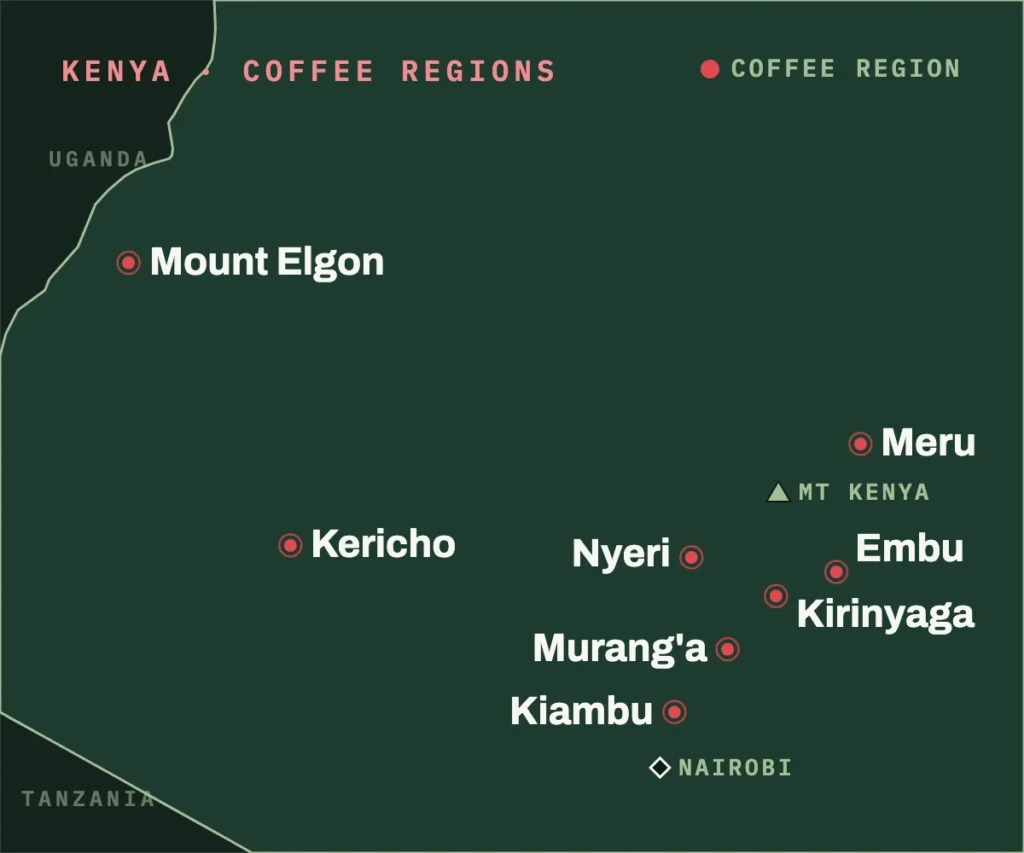Map of Kenya's coffee regions: Nyeri, Kirinyaga, Embu, Meru, Murang'a and Kiambu around Mount Kenya north of Nairobi, and Kericho and Mount Elgon in the west.