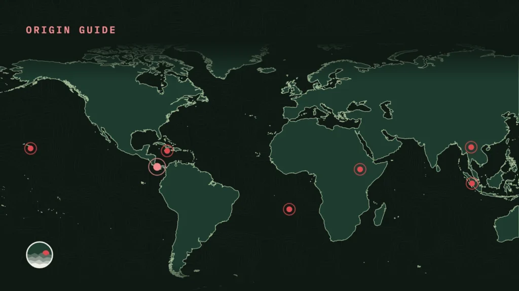 World map marking where the most expensive coffees grow, from Panama and Jamaica to Ethiopia, St Helena, Indonesia, Thailand and Hawaii