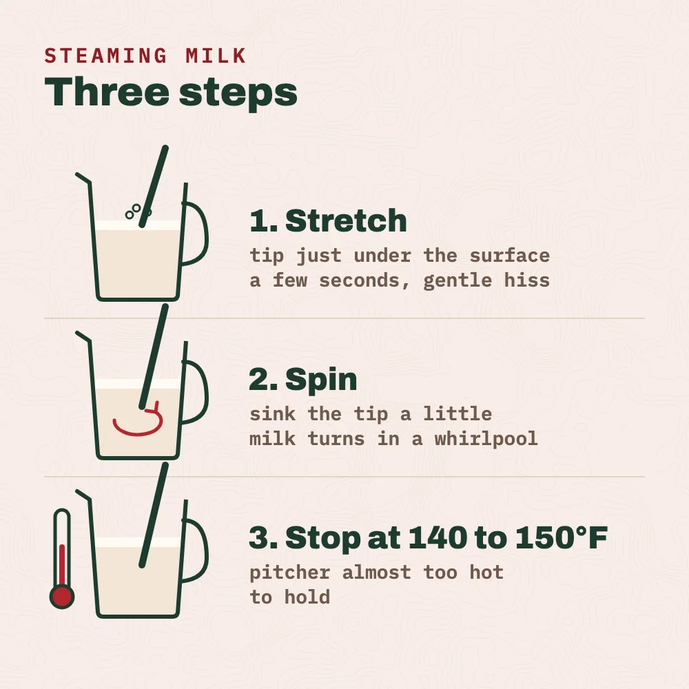 Steaming milk in three steps: stretch, with the steam tip just under the surface for a few seconds while it hisses; spin, with the tip a little deeper so the milk turns in a whirlpool; stop at 140 to 150°F, when the pitcher is almost too hot to hold.