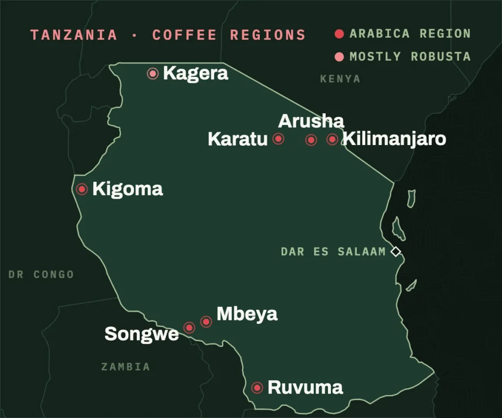 Map of Tanzania's coffee regions: Kilimanjaro, Arusha and Karatu in the north, Kagera and Kigoma in the west, and Mbeya, Songwe and Ruvuma in the southern highlands, with Dar es Salaam on the coast.